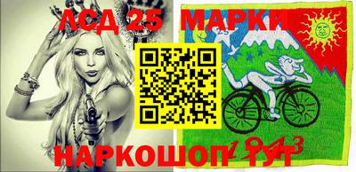 стаф Дубна