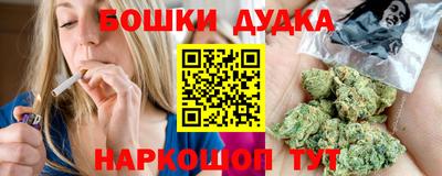 стаф Дубна