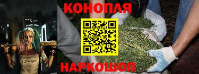 стаф Дубна