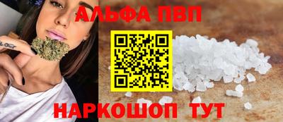 стаф Дубна